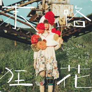 小少妇BBBBBBBBB野外
