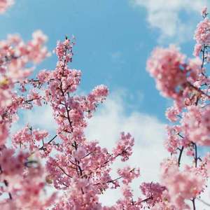 小少妇BBBBBBBBB野外
