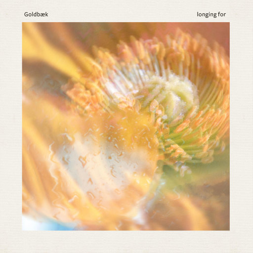 小少妇BBBBBBBBB野外
